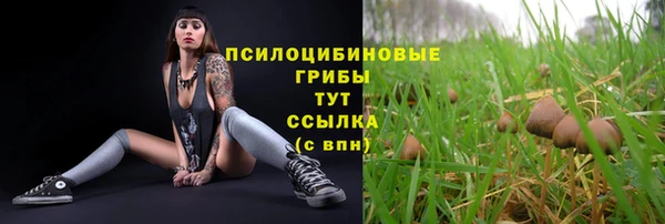 мяу мяу мука Майский