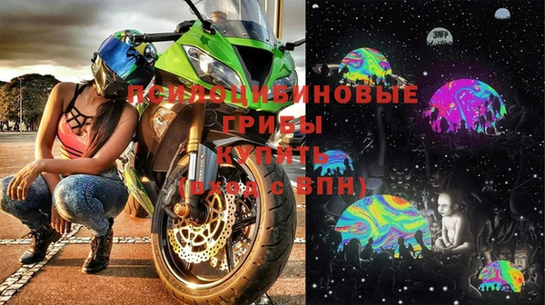 мяу мяу мука Майский
