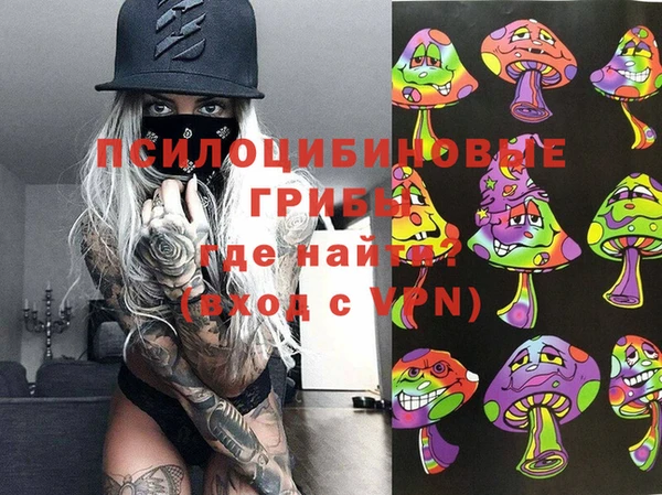 мяу мяу мука Майский